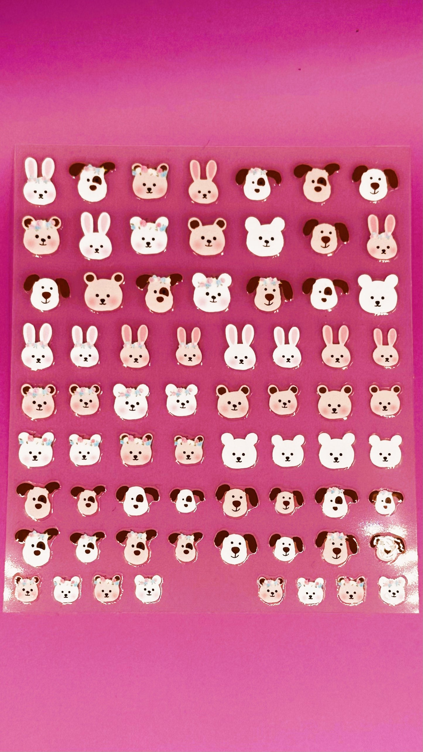 Bunnies, Bears and Dogs